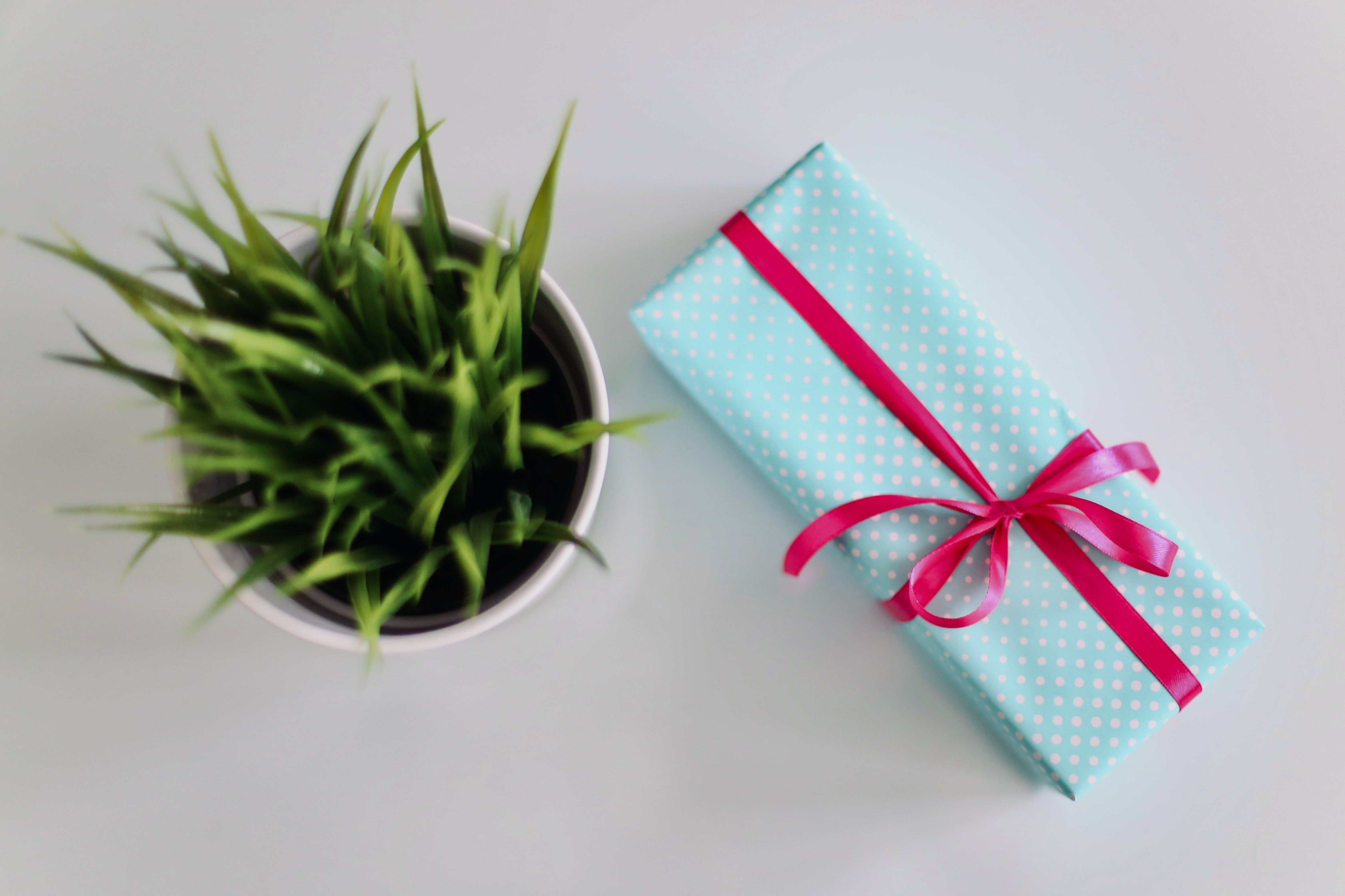 Что подарить зятю на день рождения — идеи лучших подарков мужу дочки от тестя и тещи