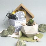 Concrete Garden
